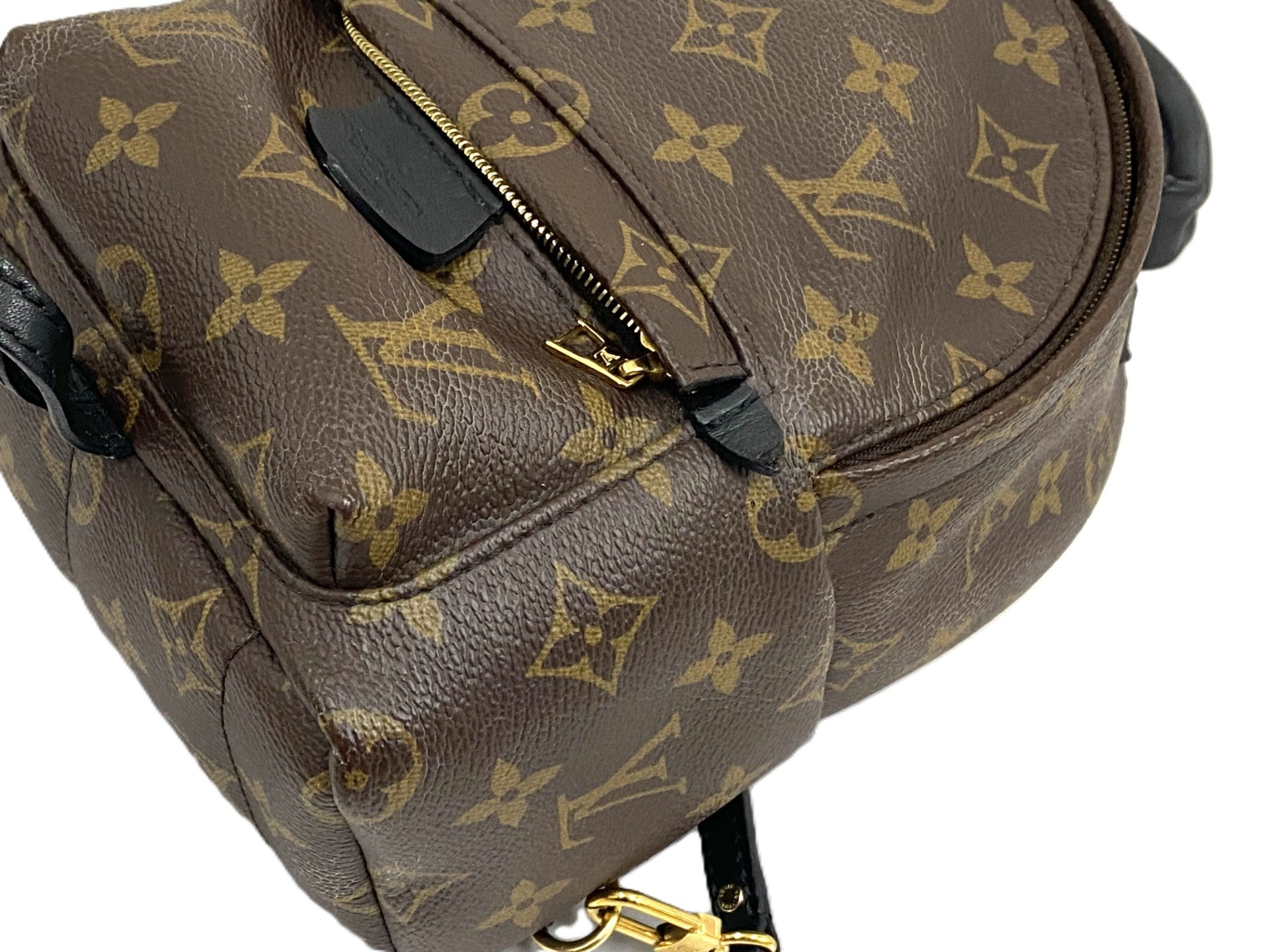 パームスプリングス・バッグミニ