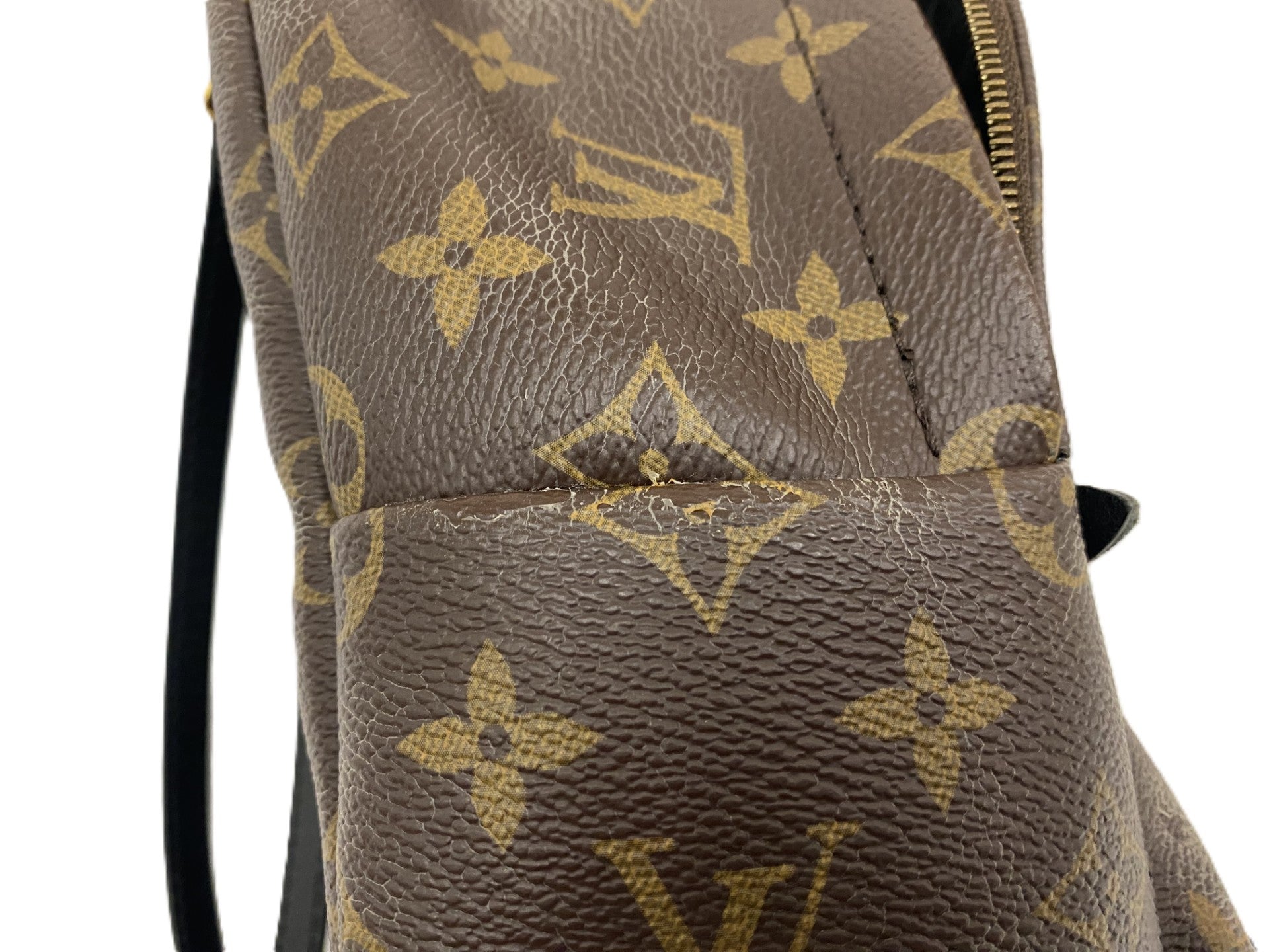 パームスプリングス・バッグミニ