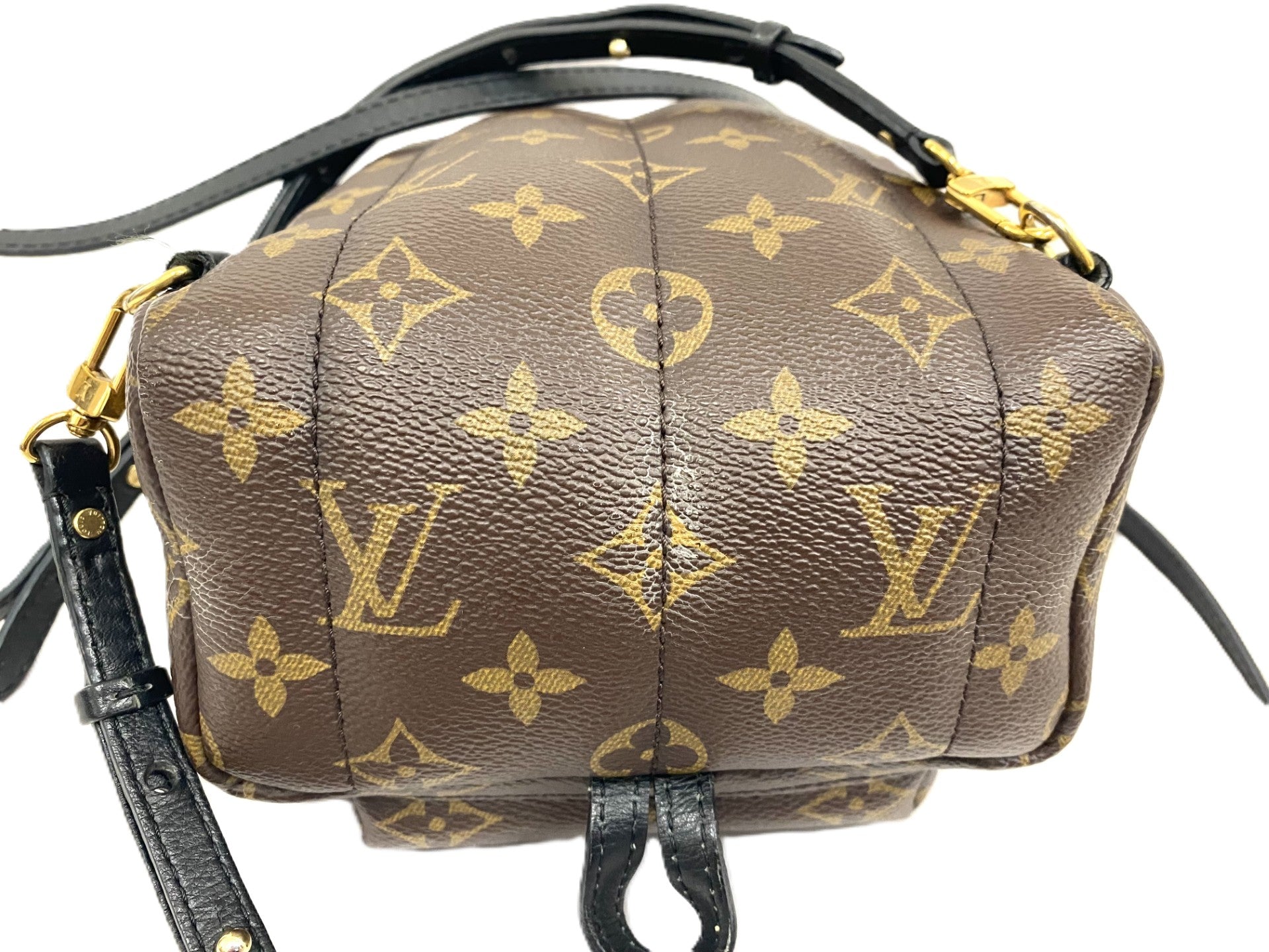 パームスプリングス・バッグミニ