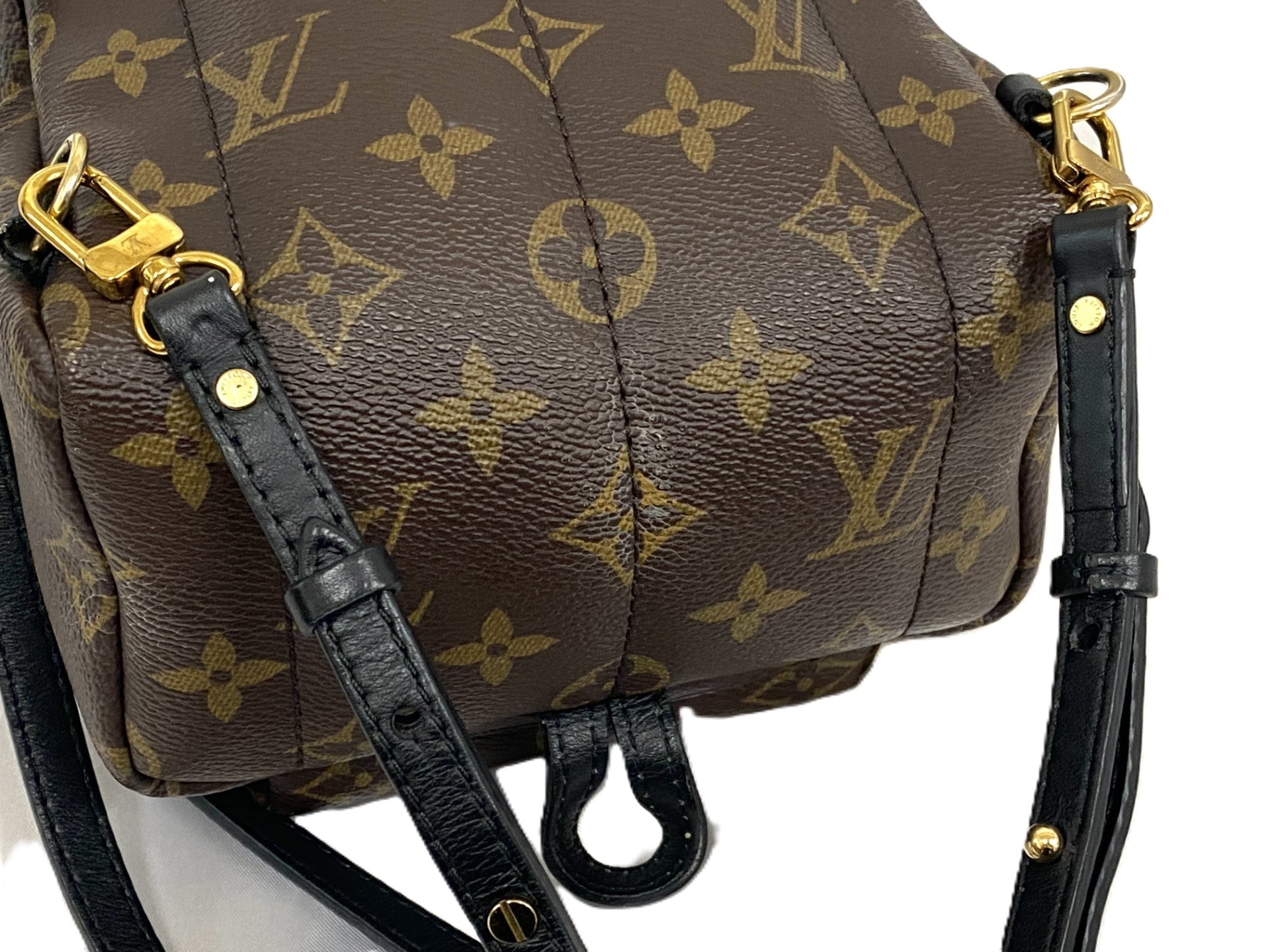 パームスプリングス・バッグミニ